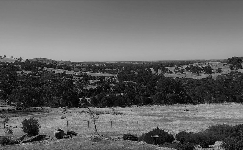 Wondering And Wandering