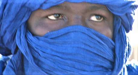 Below A Loyal&nbsp;Sky