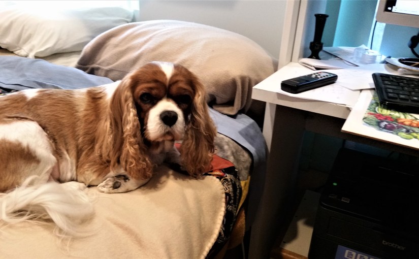 Beyond My Time&nbsp;Here