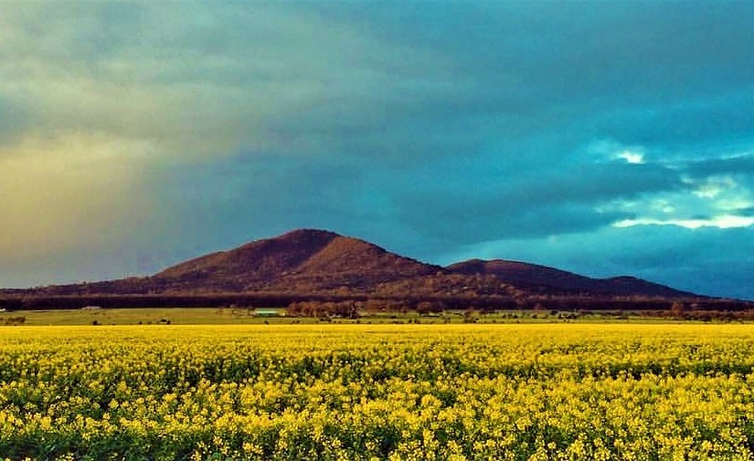 Feeding Them Up On Bullets&nbsp;Instead