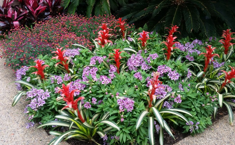 Field of Dreams, (a&nbsp;Haiku