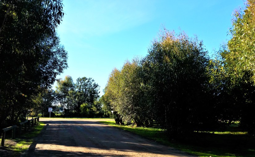 Black Snow Thaws In The Winter&nbsp;Sun