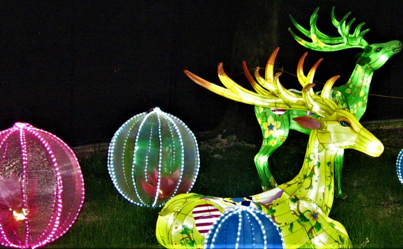 A Lame Horse With No&nbsp;Name