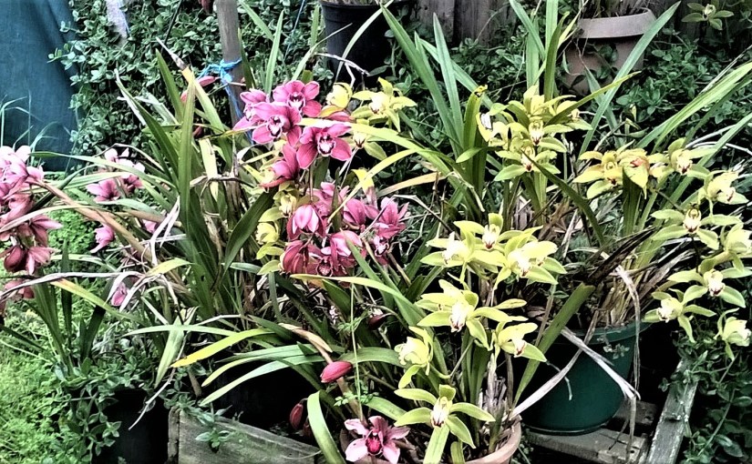 There’ll Always Be&nbsp;More