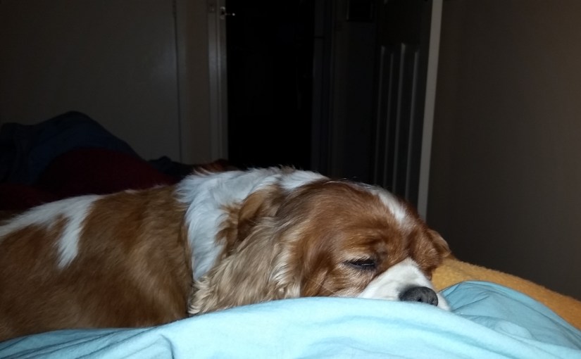 Good Morning From&nbsp;Cyndi