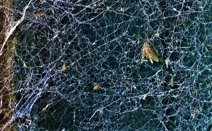 Welcome To My&nbsp;Web