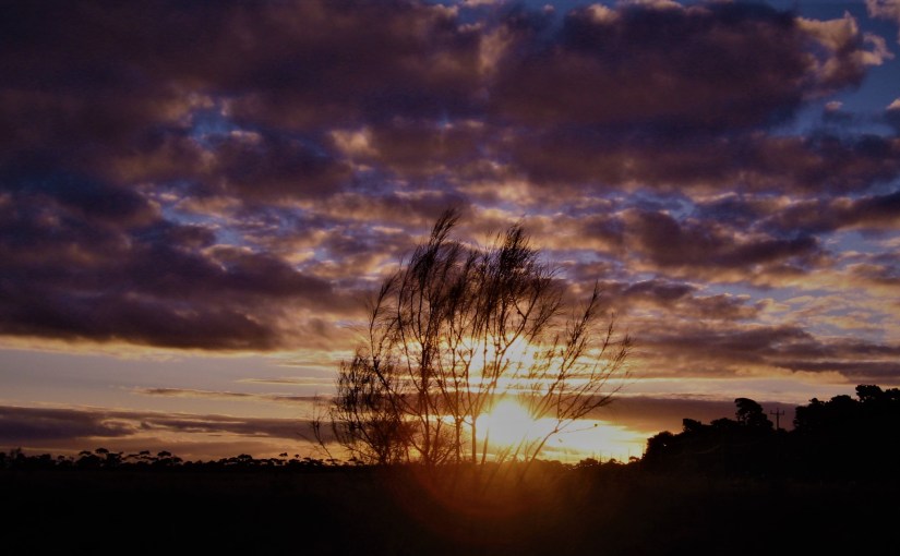 Once Upon A&nbsp;Time