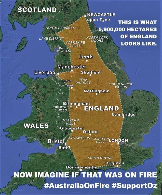 FB_IMG_1578216191109 (2)