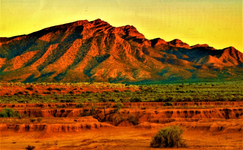 Another Nineteen Steps to the&nbsp;Top