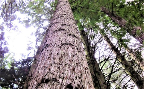 2014-04-17-02-44-261 (2)