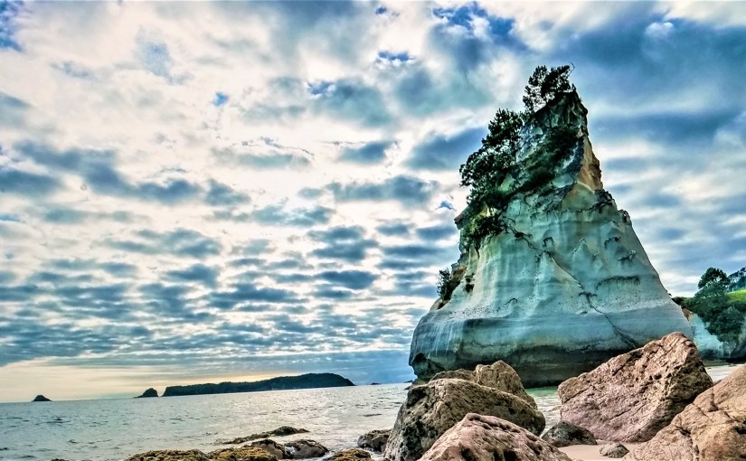 From Little Things, Big Things&nbsp;Grow