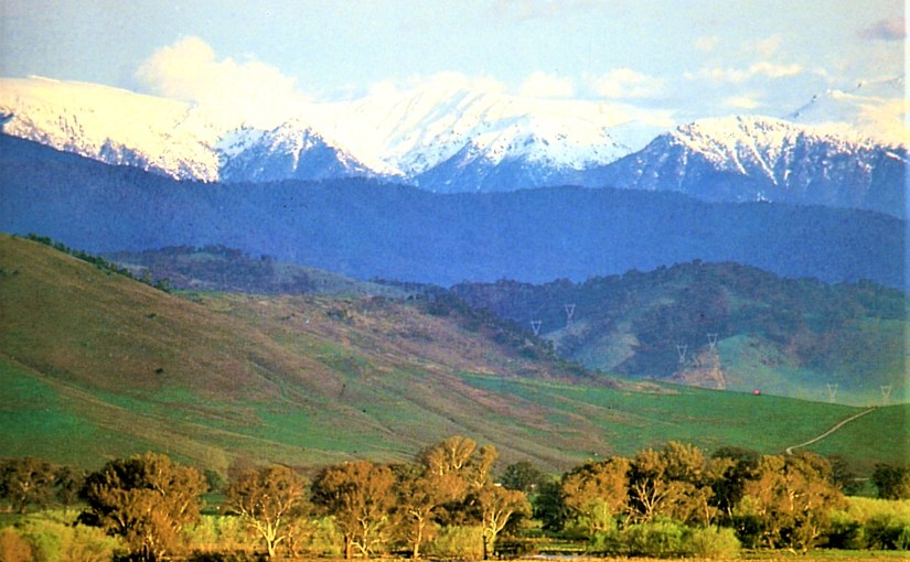 Dry Eyes, (a&nbsp;Haiku)