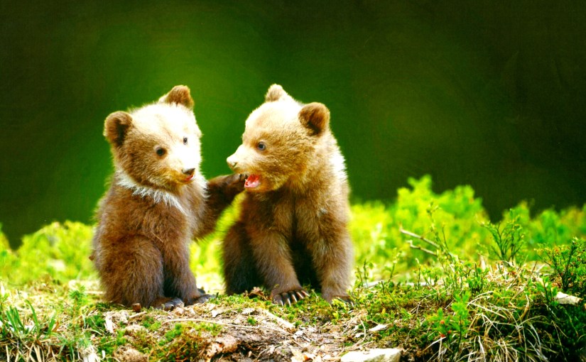 Let The Past Be Gone&nbsp;(Revised)