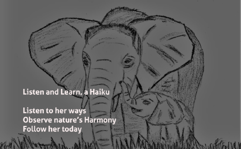 Listen and Learn, a&nbsp;Haiku
