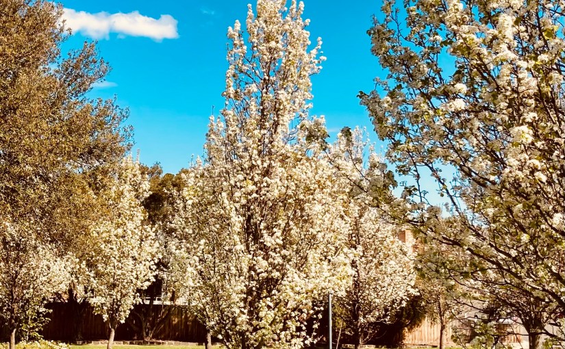 Mad-hatters, No Matter the&nbsp;Season