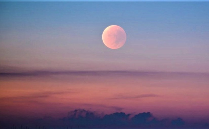 Pink Moon
