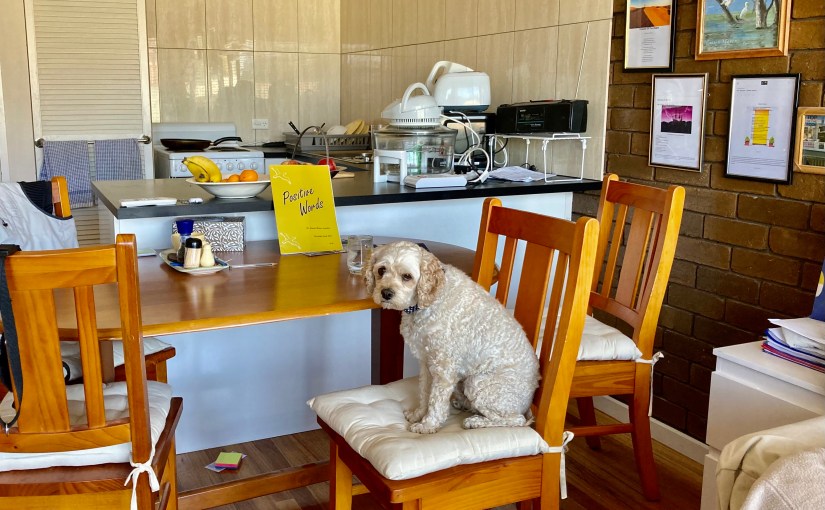 Estranged Again (a&nbsp;Haiku)