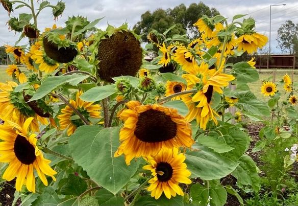 Putin … Would&nbsp;You