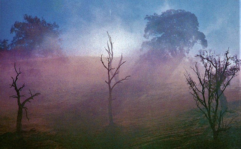 Vultures Tell No Lies, is in the March Issue of Positive Words&nbsp;Magazine