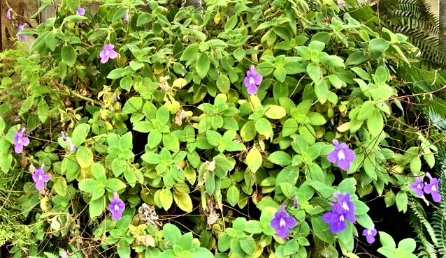 ‘Til Death Do Us&nbsp;Part