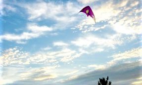 My Kite And Bike&nbsp;(Revised)