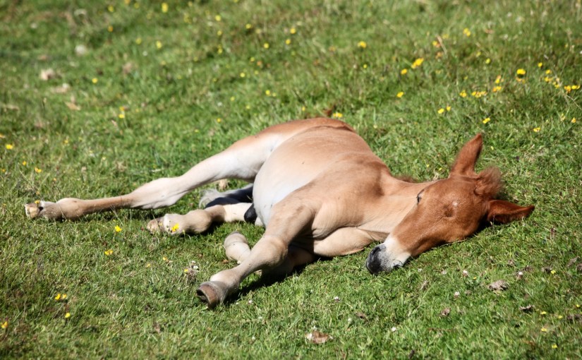 There Will Be An&nbsp;Answer