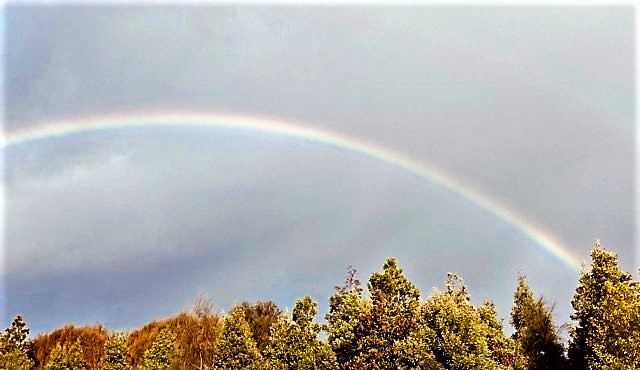 Nature’s Theatre (a&nbsp;Tanka)