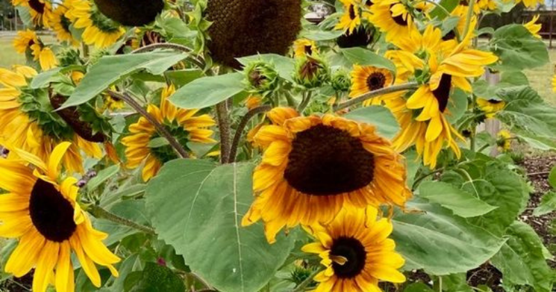 Day One (a&nbsp;Repost)