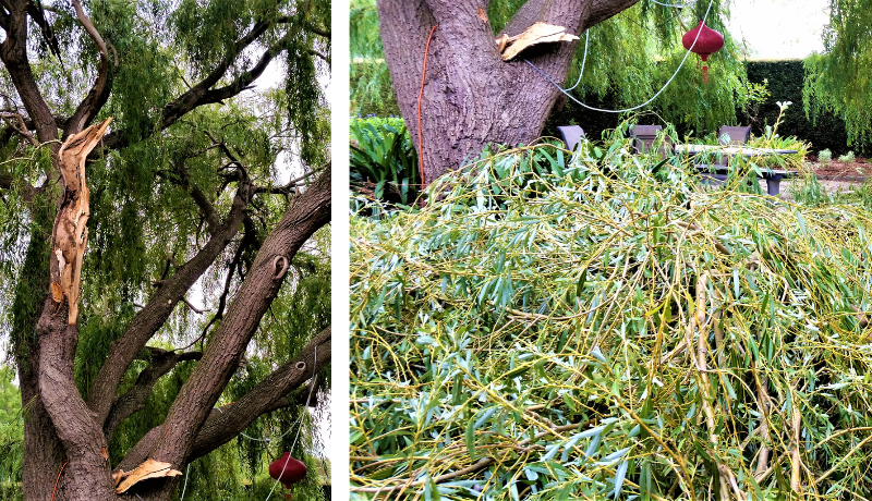 Throwback Friday, My Broken Mast, by Ivor&nbsp;Steven