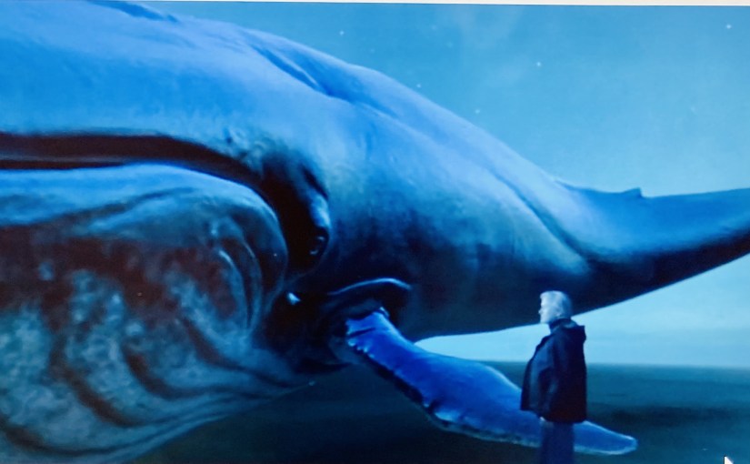 Whales Cry Too (a&nbsp;Mariannet)