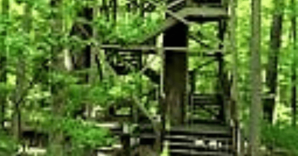 <strong>a worrying time</strong>