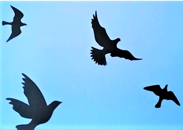 <strong>Will the Doves Ever Be&nbsp;Free</strong>?