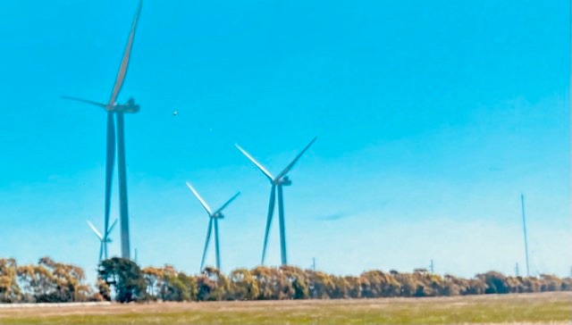 Throwback Friday, An Emerald Tapestry, by Ivor&nbsp;Steven