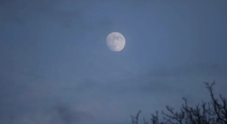 We Lost the “A” Side (a&nbsp;Senryu)