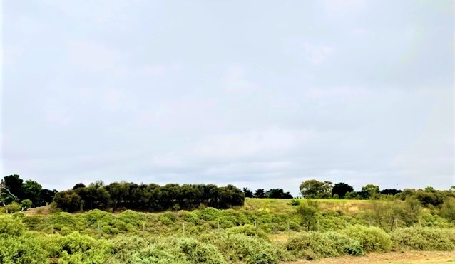 The World’s Crimes (a&nbsp;Tanka)