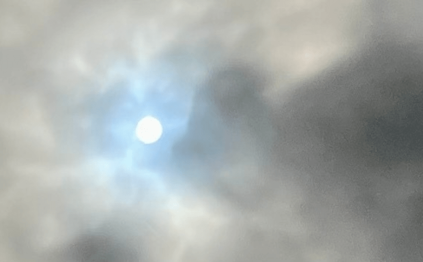 Magpies and Butterflies