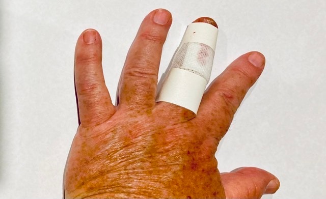 Cooking For Frankie (a&nbsp;Tanka)