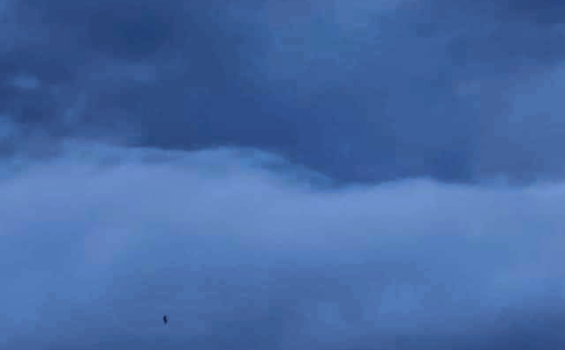 Pending, Not Pretending (a&nbsp;Tanka)