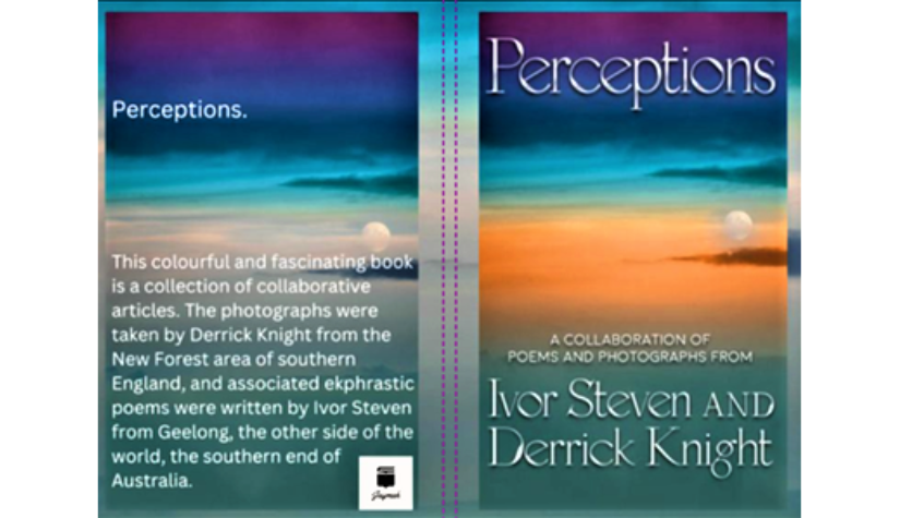Perceptions, Video Trailer