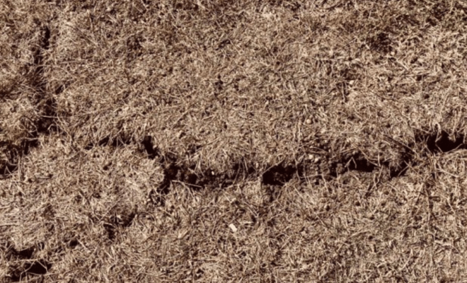 Cracks and Holes, by Ivor&nbsp;Steven