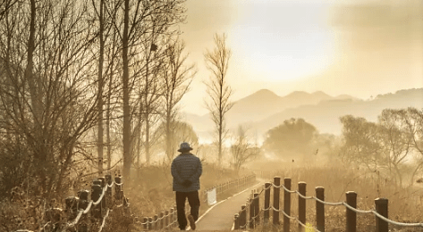 Anything is Everything, is up at&nbsp;MasticadoresUsa