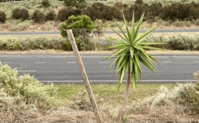 An Untravelled Highway