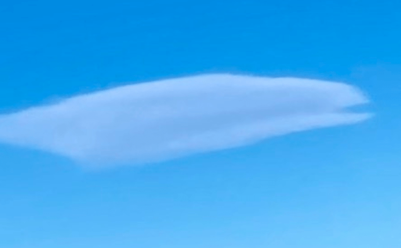 Where Is Mother? (A&nbsp;Senryu)