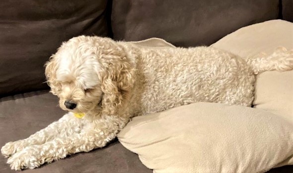 Not, Just Another Day (a&nbsp;Lanterne)