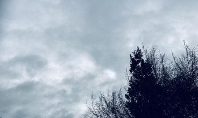 Take Heart (a&nbsp;Tanka)