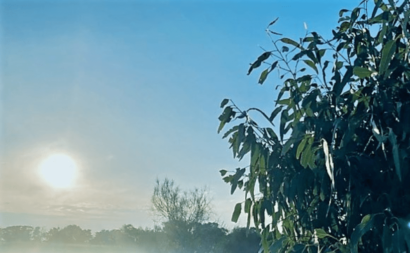 Droplets of Joy, is in this Week’s Coffee House Writers&nbsp;Magazine