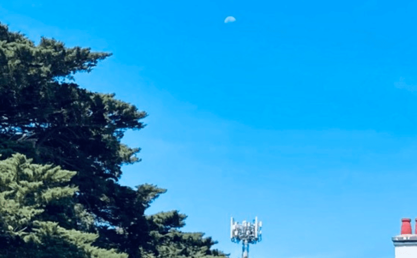 Do You See the Sound? 