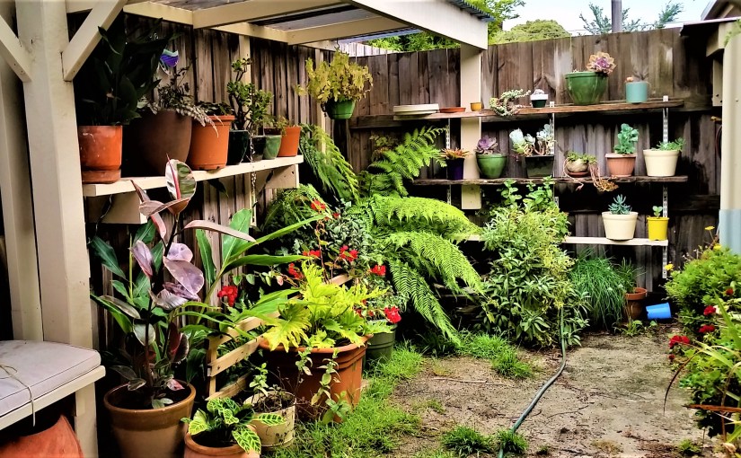 Throwback Friday, Fruit&nbsp;Loopy