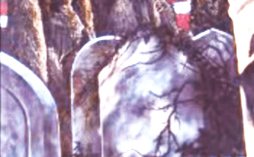 White Stone (a&nbsp;Senryu)