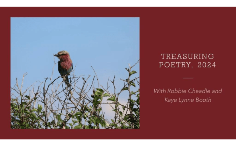 Treasuring Poetry – Meet prolific poet, Ivor Steven, and a Book&nbsp;review